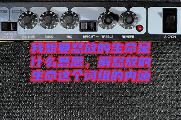 我想要怒放的生命是什么意思，解怒放的生命這個詞組的內涵