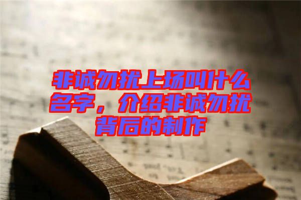 非誠勿擾上場叫什么名字，介紹非誠勿擾背后的制作