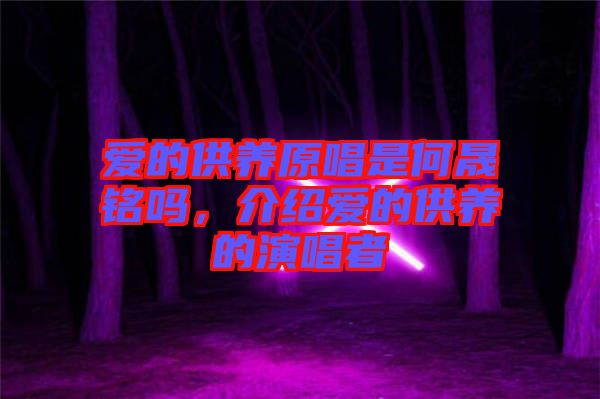 愛的供養(yǎng)原唱是何晟銘嗎，介紹愛的供養(yǎng)的演唱者