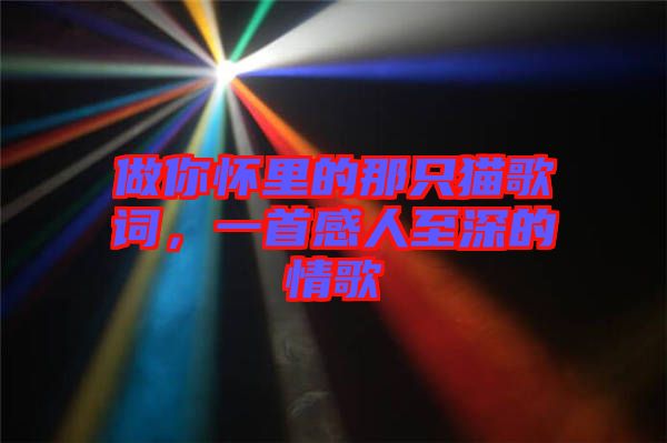 做你懷里的那只貓歌詞，一首感人至深的情歌