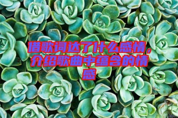 借歌詞達(dá)了什么感情，介紹歌曲中蘊(yùn)含的情感