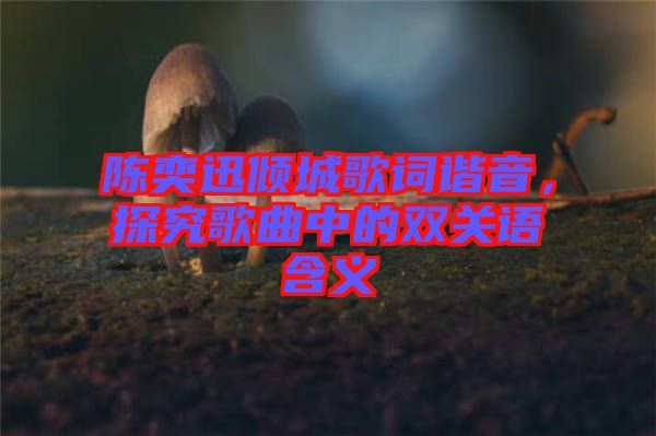 陳奕迅傾城歌詞諧音，探究歌曲中的雙關(guān)語含義