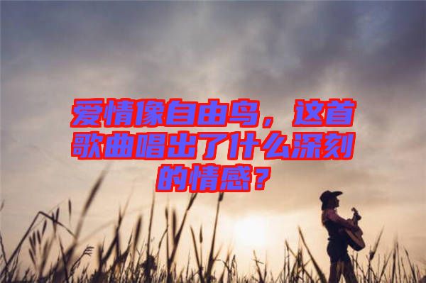 愛情像自由鳥，這首歌曲唱出了什么深刻的情感？