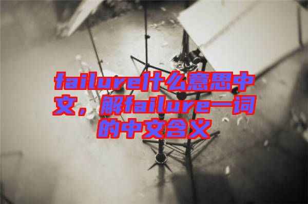 failure什么意思中文，解failure一詞的中文含義