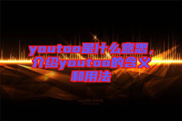 youtoo是什么意思，介紹youtoo的含義和用法