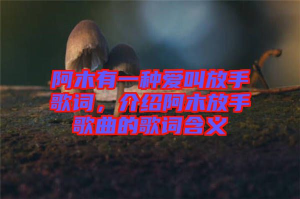 阿木有一種愛(ài)叫放手歌詞，介紹阿木放手歌曲的歌詞含義