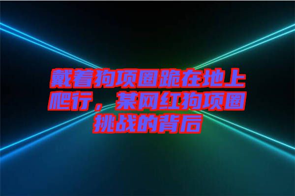 戴著狗項圈跪在地上爬行，某網(wǎng)紅狗項圈挑戰(zhàn)的背后