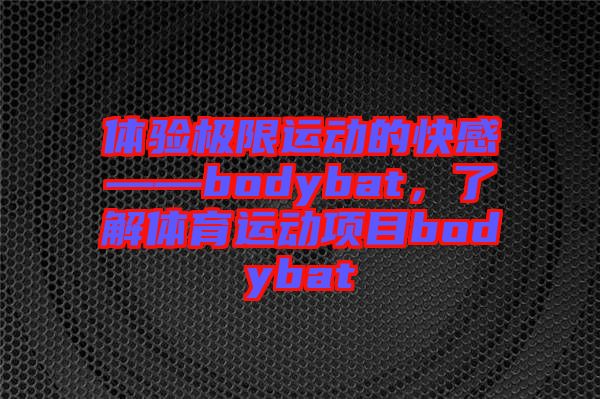 體驗極限運(yùn)動的快感——bodybat，了解體育運(yùn)動項目bodybat