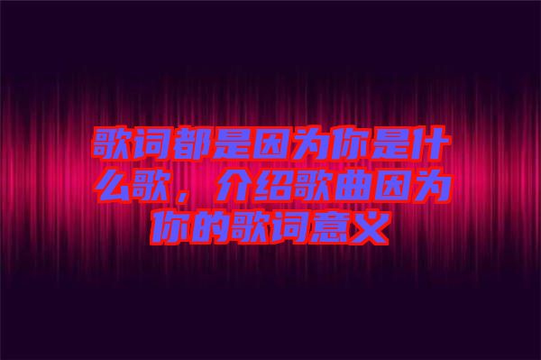 歌詞都是因?yàn)槟闶鞘裁锤?，介紹歌曲因?yàn)槟愕母柙~意義