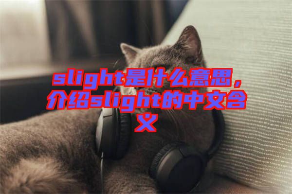 slight是什么意思，介紹slight的中文含義