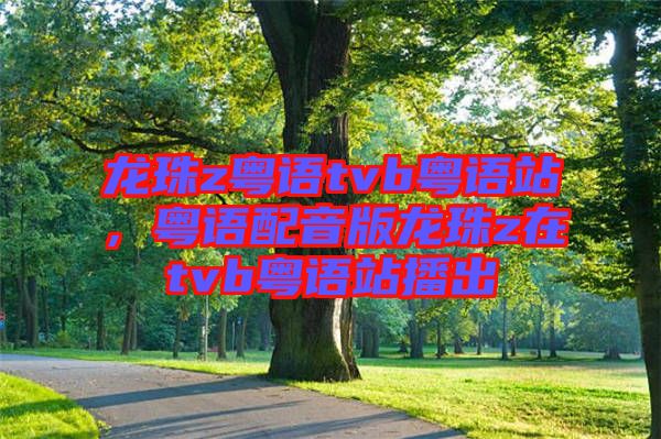 龍珠z粵語(yǔ)tvb粵語(yǔ)站，粵語(yǔ)配音版龍珠z在tvb粵語(yǔ)站播出