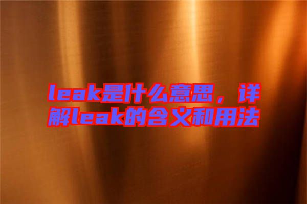 leak是什么意思，詳解leak的含義和用法