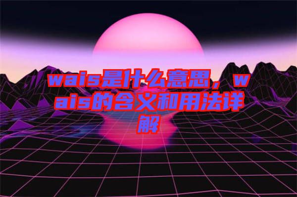 wais是什么意思，wais的含義和用法詳解