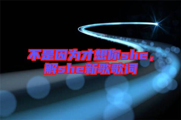 不是因為才想你she，解she新歌歌詞