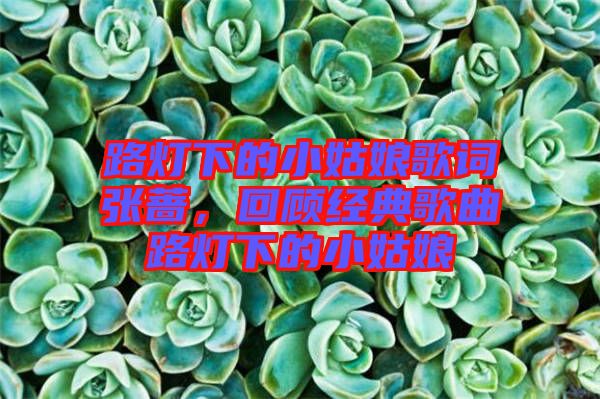 路燈下的小姑娘歌詞張薔，回顧經(jīng)典歌曲路燈下的小姑娘