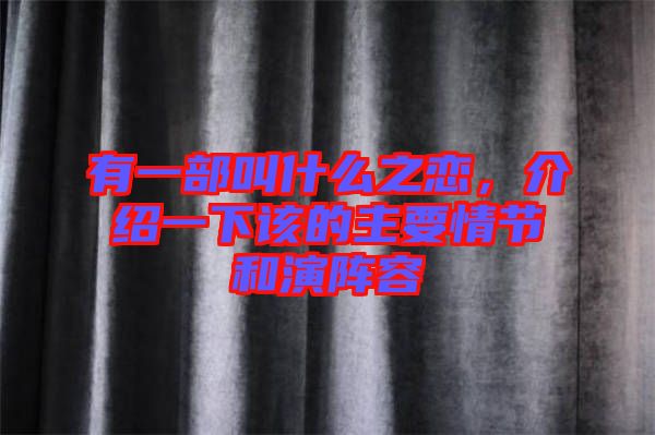 有一部叫什么之戀，介紹一下該的主要情節(jié)和演陣容