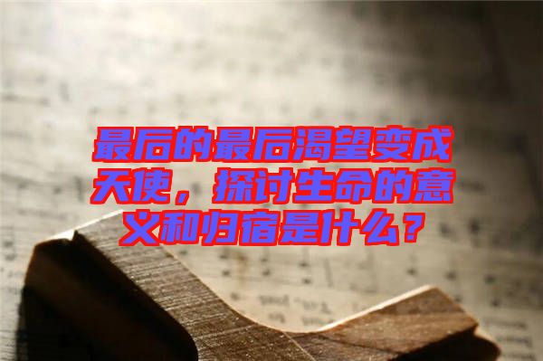 最后的最后渴望變成天使，探討生命的意義和歸宿是什么？