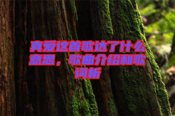 真愛(ài)這首歌達(dá)了什么意思，歌曲介紹和歌詞析