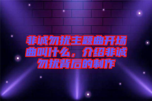 非誠(chéng)勿擾主題曲開(kāi)場(chǎng)曲叫什么，介紹非誠(chéng)勿擾背后的制作