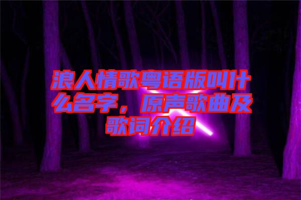 浪人情歌粵語版叫什么名字，原聲歌曲及歌詞介紹