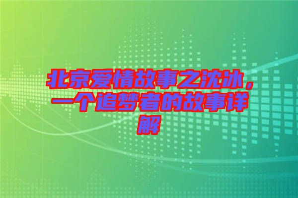 北京愛情故事之沈冰，一個(gè)追夢(mèng)者的故事詳解