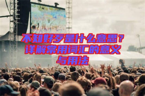 不知好歹是什么意思？詳解常用詞匯的意義與用法