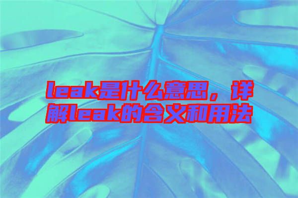 leak是什么意思，詳解leak的含義和用法