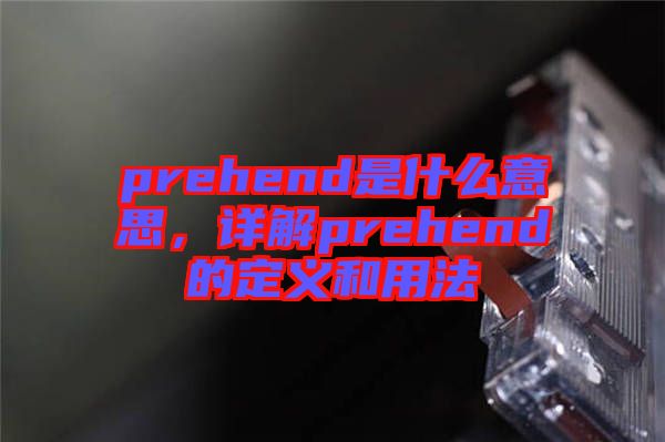 prehend是什么意思，詳解prehend的定義和用法