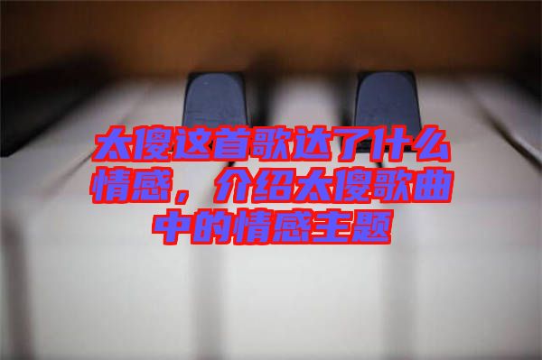 太傻這首歌達(dá)了什么情感，介紹太傻歌曲中的情感主題