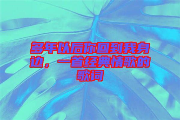 多年以后你回到我身邊，一首經(jīng)典情歌的歌詞