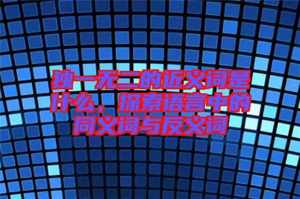 獨(dú)一無(wú)二的近義詞是什么，探索語(yǔ)言中的同義詞與反義詞