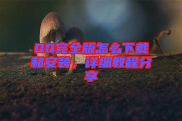 QQ完全版怎么下載和安裝，詳細(xì)教程分享