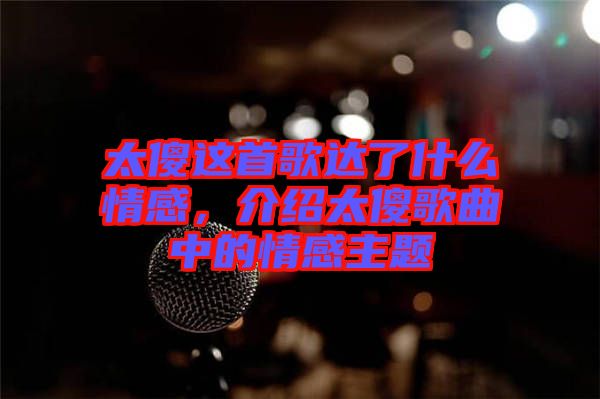 太傻這首歌達了什么情感，介紹太傻歌曲中的情感主題