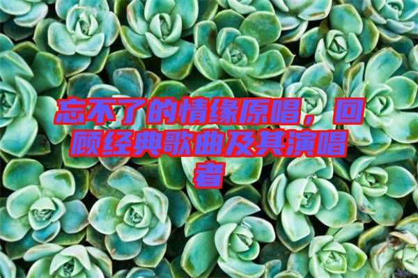 忘不了的情緣原唱，回顧經(jīng)典歌曲及其演唱者