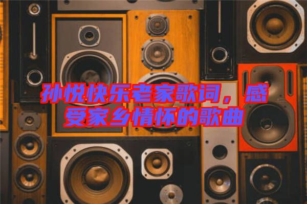 孫悅快樂老家歌詞，感受家鄉(xiāng)情懷的歌曲