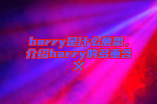 harry是什么意思，介紹harry的多重含義