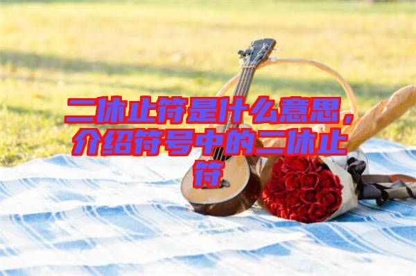 二休止符是什么意思，介紹符號(hào)中的二休止符