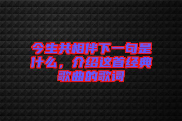 今生共相伴下一句是什么，介紹這首經典歌曲的歌詞