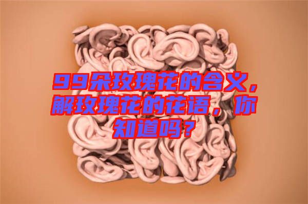 99朵玫瑰花的含義，解玫瑰花的花語(yǔ)，你知道嗎？