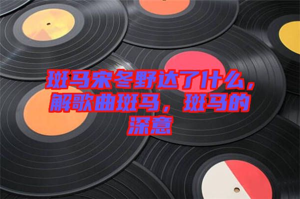 斑馬宋冬野達(dá)了什么，解歌曲斑馬，斑馬的深意