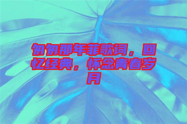 匆匆那年菲歌詞，回憶經(jīng)典，懷念青春歲月