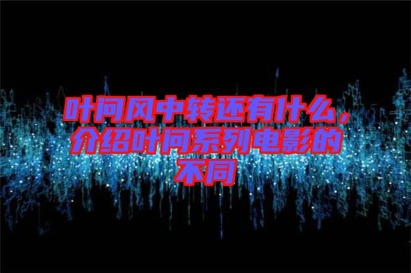 葉問風(fēng)中轉(zhuǎn)還有什么，介紹葉問系列電影的不同