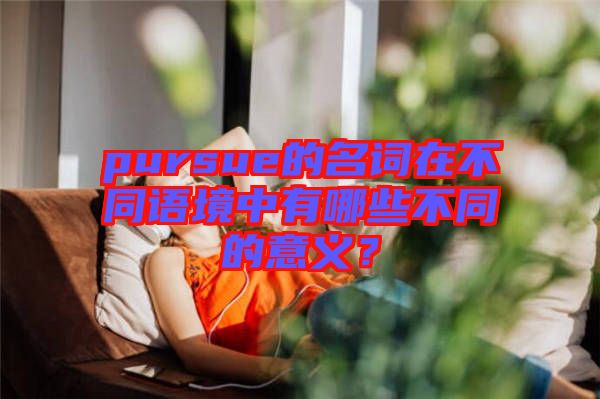 pursue的名詞在不同語(yǔ)境中有哪些不同的意義？