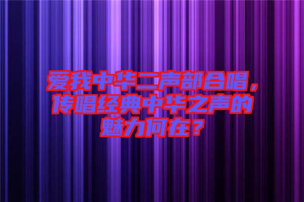 愛我中華二聲部合唱，傳唱經(jīng)典中華之聲的魅力何在？