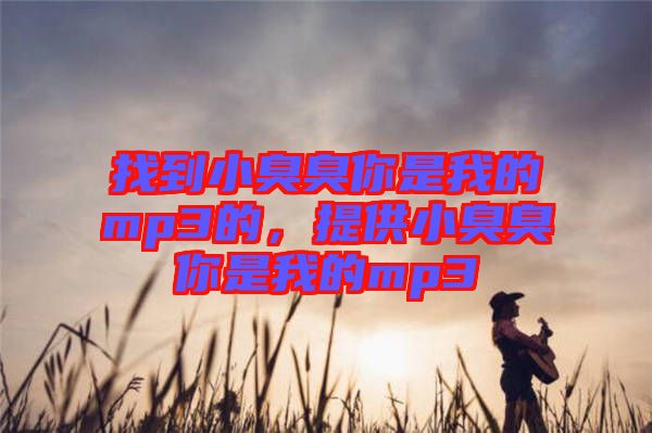 找到小臭臭你是我的mp3的，提供小臭臭你是我的mp3