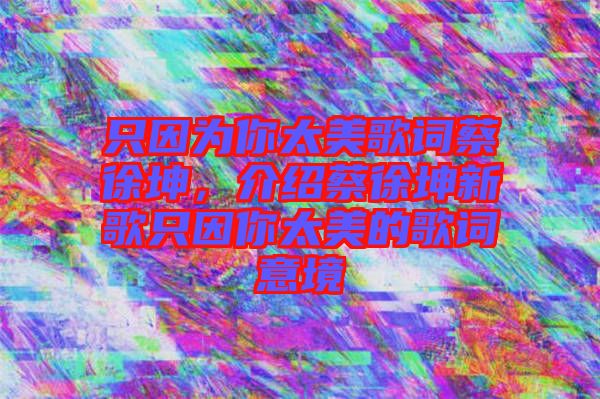 只因?yàn)槟闾栏柙~蔡徐坤，介紹蔡徐坤新歌只因你太美的歌詞意境