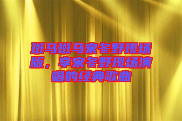 斑馬斑馬宋冬野現(xiàn)場版，享宋冬野現(xiàn)場演唱的經(jīng)典歌曲