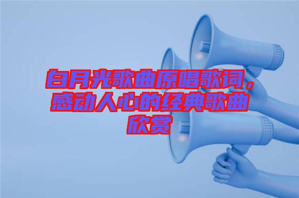 白月光歌曲原唱歌詞，感動(dòng)人心的經(jīng)典歌曲欣賞