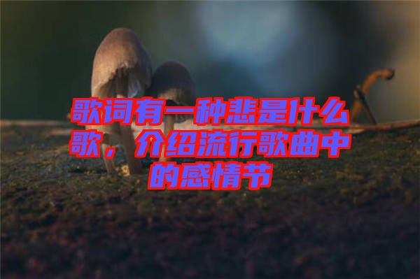 歌詞有一種悲是什么歌，介紹流行歌曲中的感情節(jié)