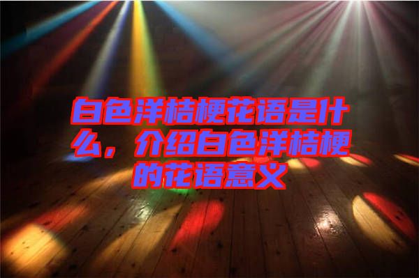 白色洋桔?；ㄕZ是什么，介紹白色洋桔梗的花語意義